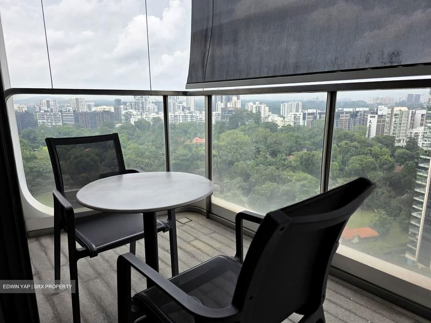 The Scotts Tower (D9), Condominium #597034191